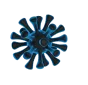 virus2